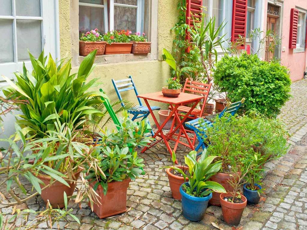 Gardening Ideas to Turn Your Small Space Into a Green Paradise