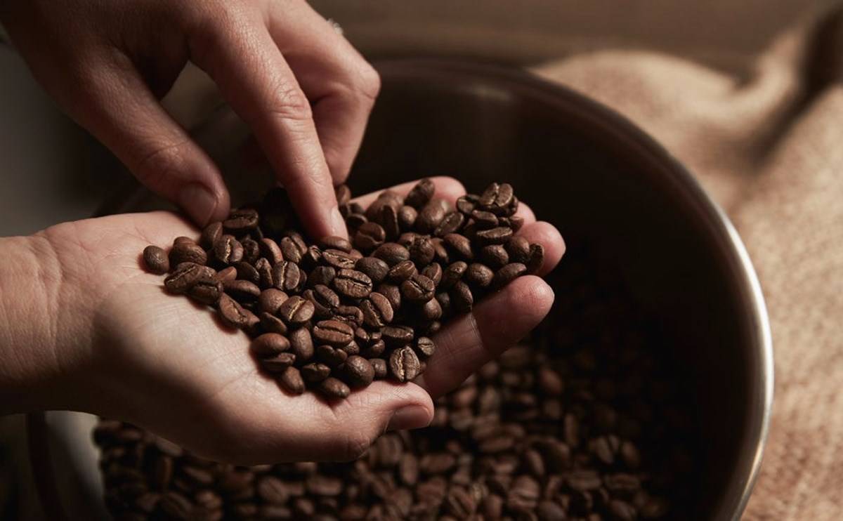Coffee is a major commodity in India's agri-export basket