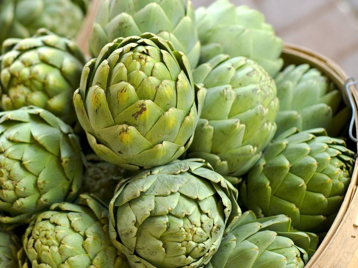 The unique-looking vegetable Artichoke is rich in nutrients and has many health benefits.
