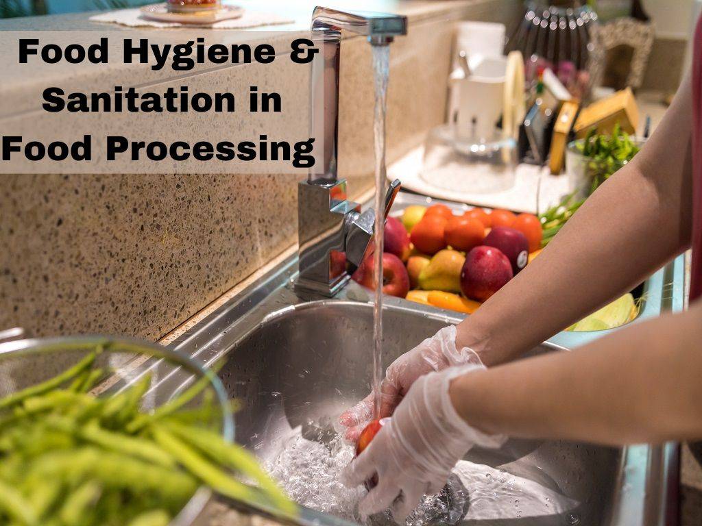 Personal Hygiene of the individuals handling the food at the production or service front should be kept in check in order to maintain its safety and quality.