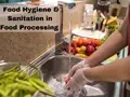 Growing Need of Food Hygiene and Sanitation in Food Processing 