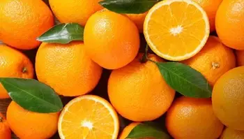 Oranges from Lower Dibang Valley of Arunachal Pradesh Reach UAE