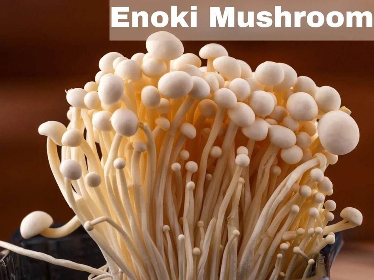 Enoki mushrooms, also known as golden needle, lily, or enokitake, are a species of Flammulina velutipes.