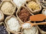 Odisha University Study: Traditional Rice Strains in Koraput, Tolerant to Drought Stress