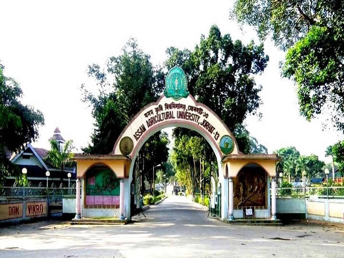 Assam Agriculture University entrance gate.