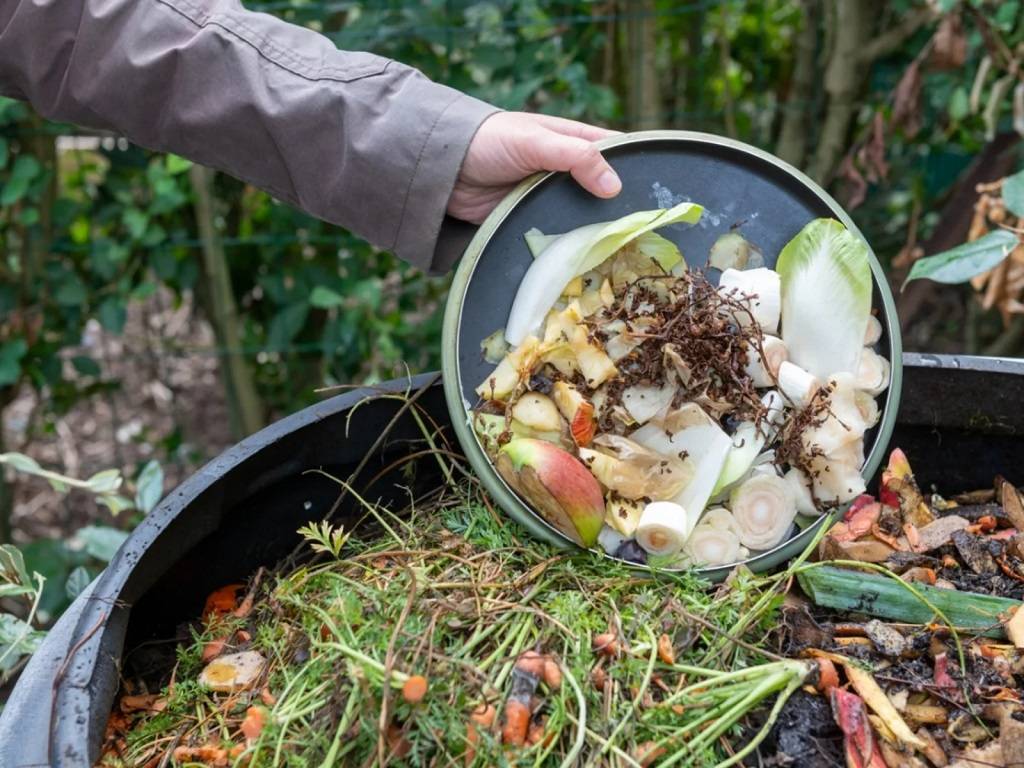 Composting is becoming a more and more common way to handle biodegradable waste as urban terraces and balcony gardens expand.