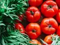 Vertical Farming: Grow Tomatoes Vertically for Higher Yields