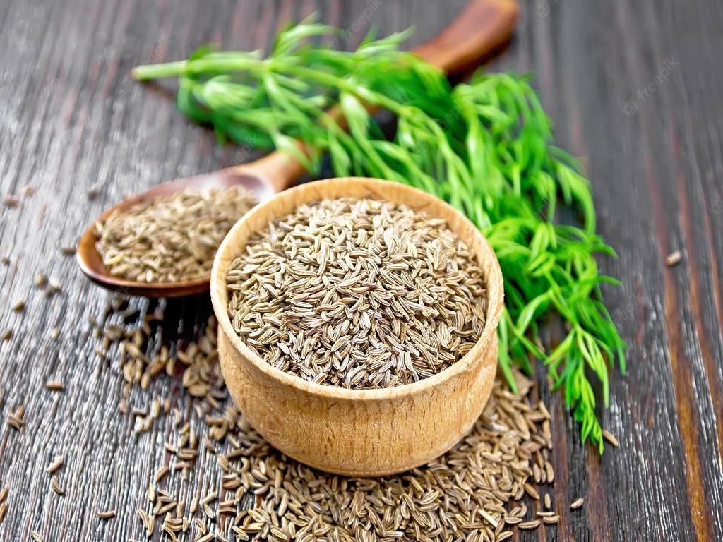 Cumin (Cuminum cyminum) in the Apiaceae family of parsley plants, is a delicate blooming annual used for its seed. It is one of the most widely used spices in the world and is used in many different types of cuisine.