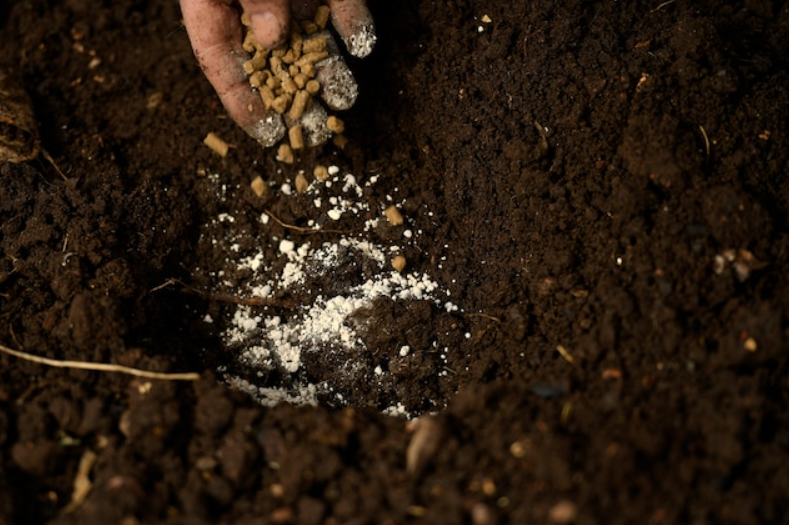 ban-on-phosphorus-paste-in-tamil-nadu