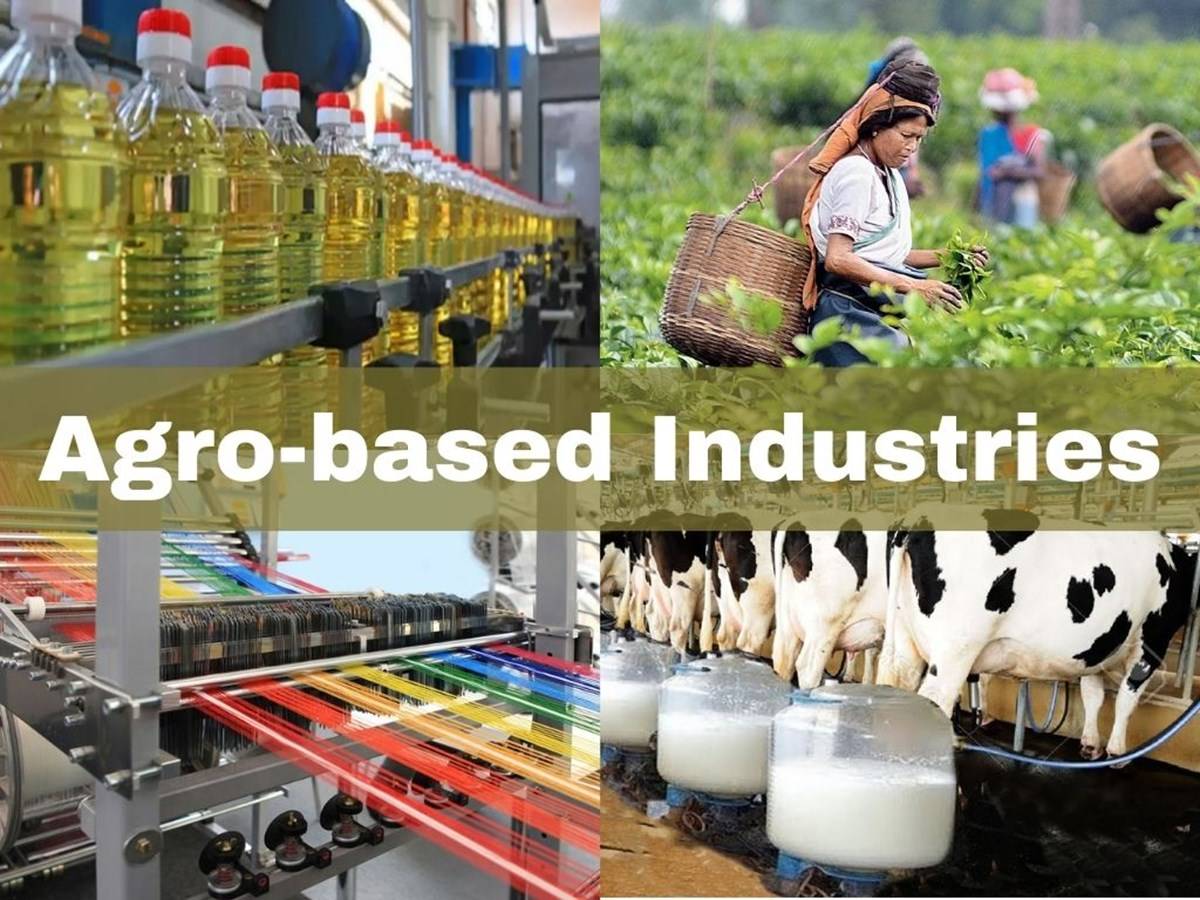 Agriculture provides a significant portion of the raw materials and other essential outputs for agro-based businesses.