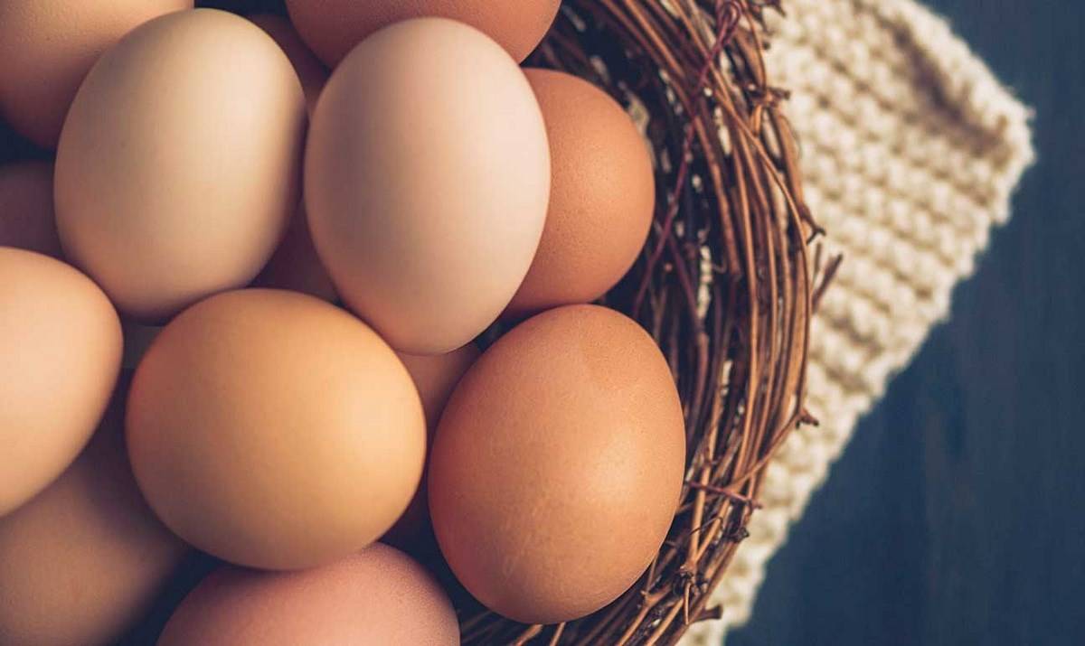 Eggs are one of the best sources of protein available out there