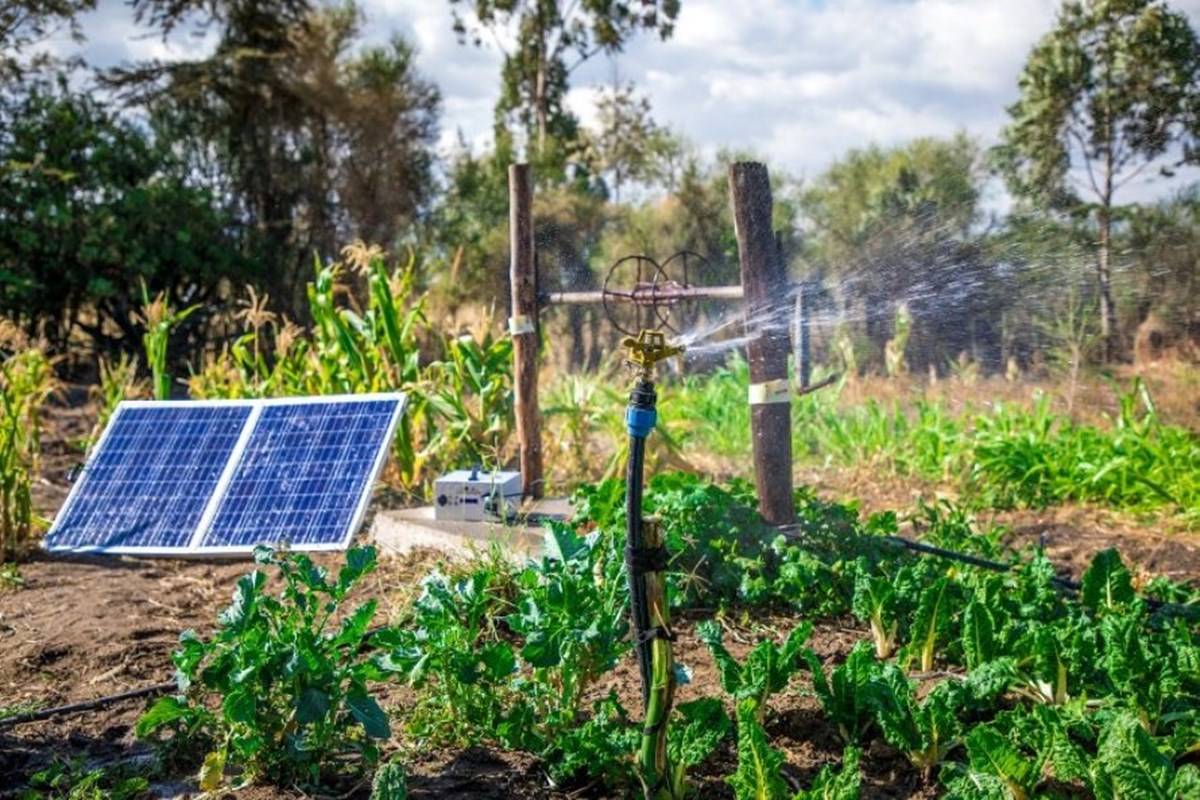 Water User Associations can also install community/cluster-based irrigation pumps with a capacity of up to 10HP under the scheme.