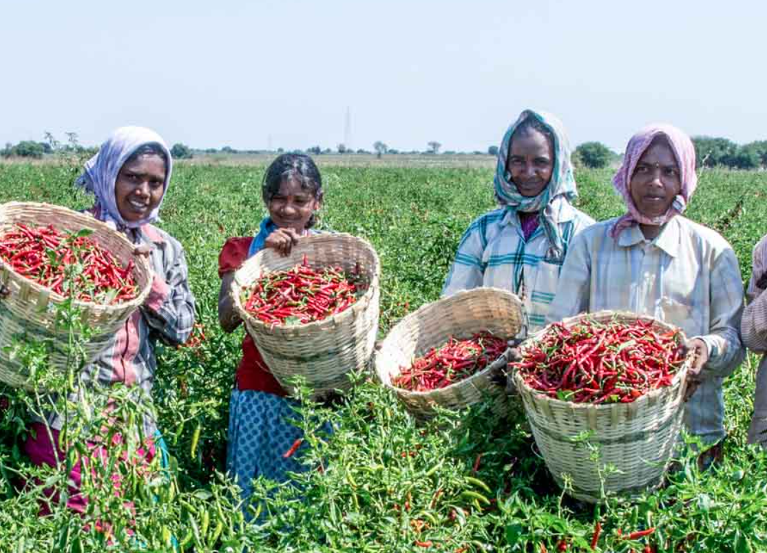 Women Farmers