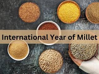 International Year of Millet