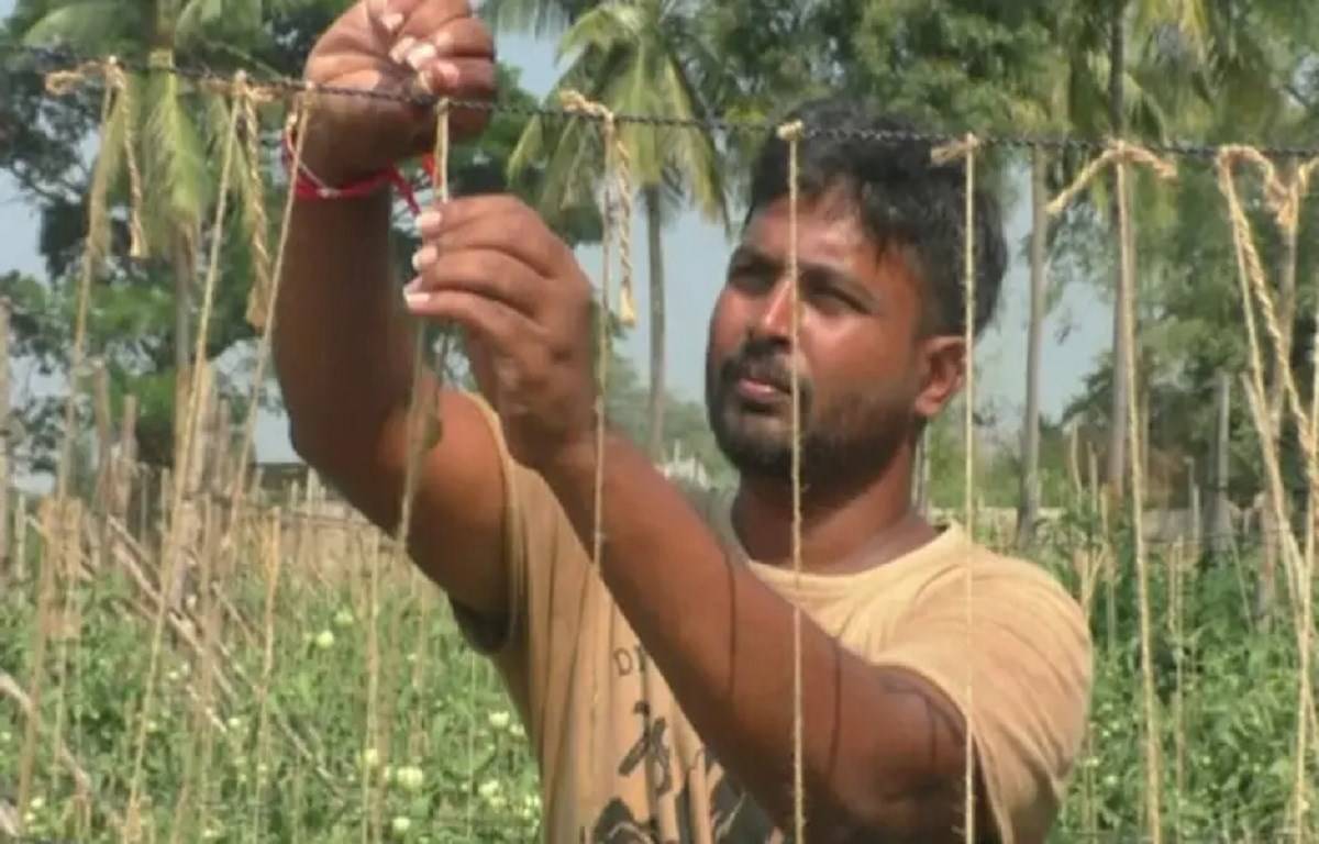 Satya Prabin, a software engineer turned farmer from Rayagada, Odisha