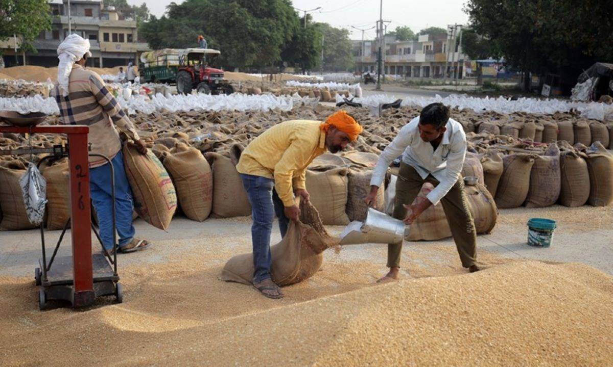 Centre will soon make a decision on the open market sale scheme (OMSS) of wheat during January-March.