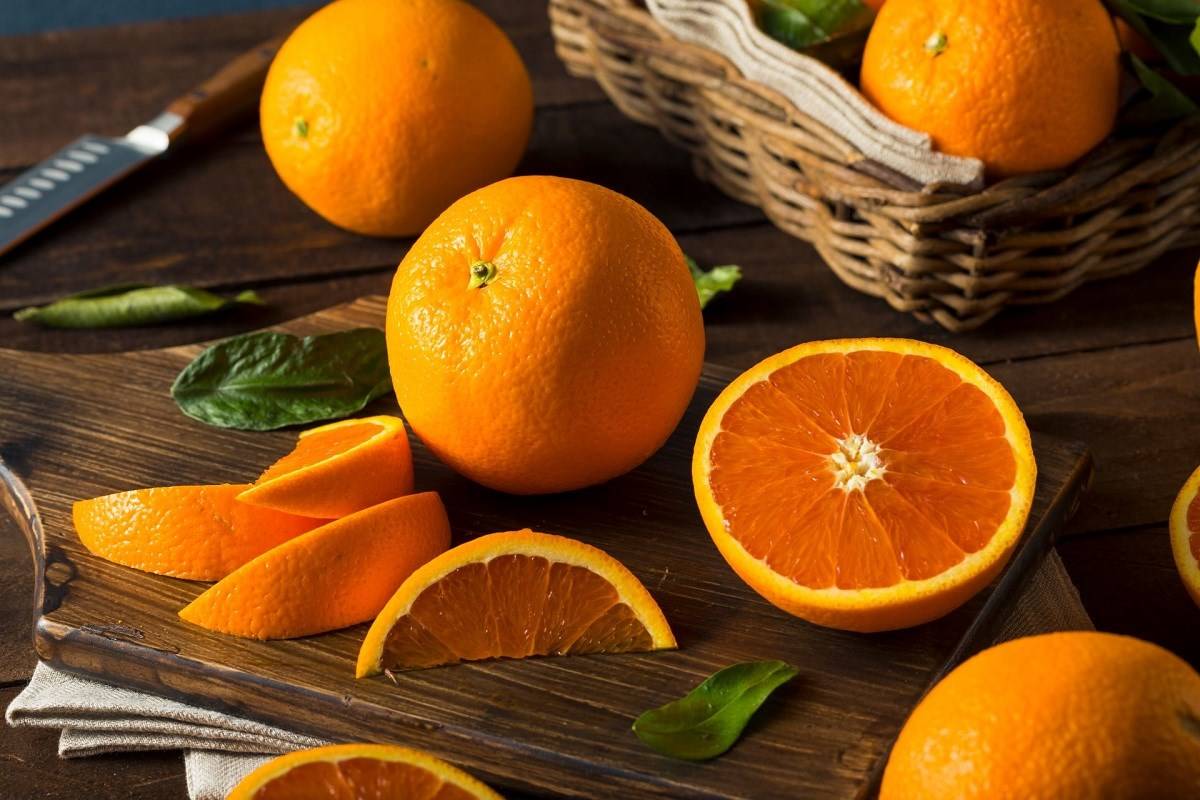 Sweet Orange Cultivation Guide: Popular Varieties and How to Grow Them