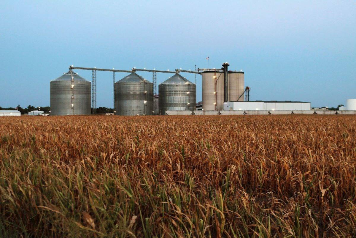 Prices for producing ethanol from B-heavy molasses have risen