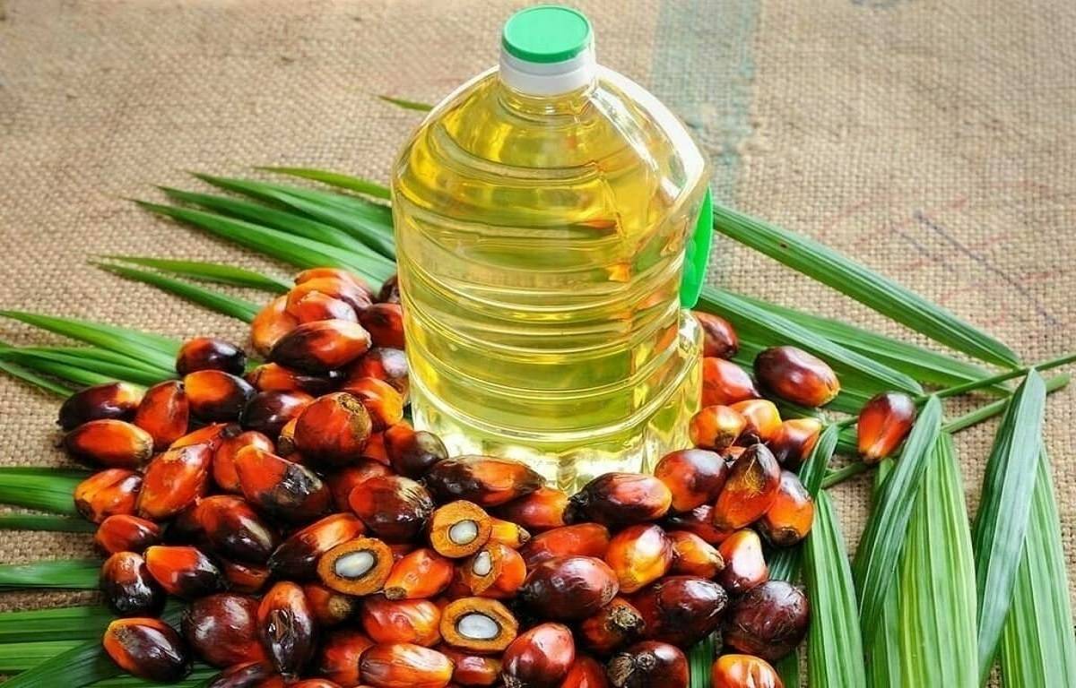 Palm oil is an active ingredient in almost everything in the supermarket, from chocolates, candies, shampoo, toothpaste, and lipstick.