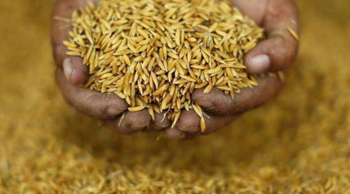 National Foods Security Act Govt to Provide Free Foodgrains to 81.35