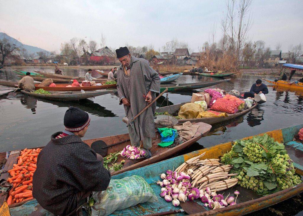 Commercial vegetable farming has been identified as a key tool in achieving economic prosperity of the farming community through a significant income boost