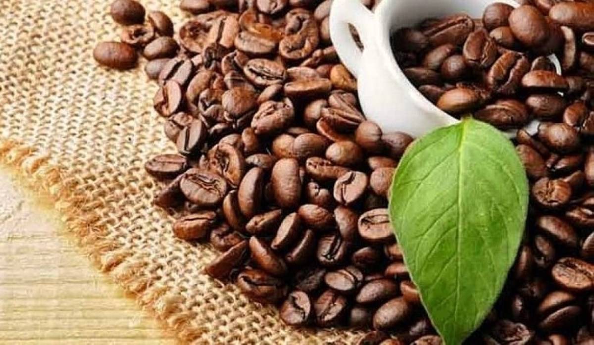 Shipments of instant coffee increased by 10% to over 1.34 lakh tonnes, up from 1.21 lakh tonnes in the same period last year