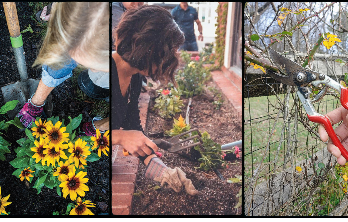 If there are any deciduous trees or shrubs that need to be relocated, do it right away, providing the ground is not frozen or soggy