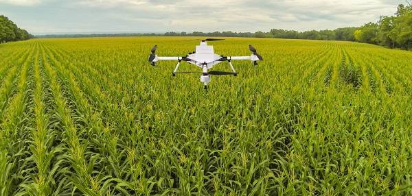 FMC Starts Drone Spraying Service in India
