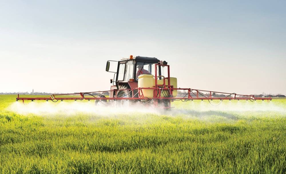 Propaquizafop controls weeds at all stages of development as a selective & systemic herbicide