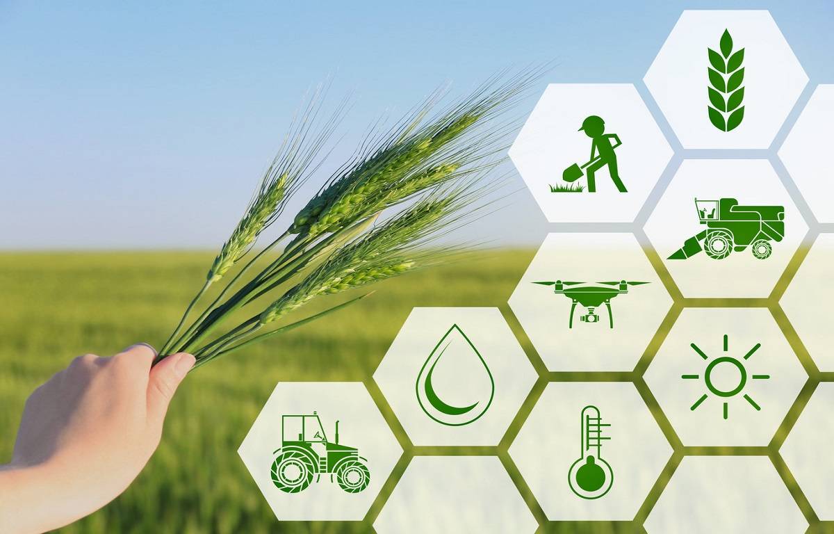 list-of-major-agritech-companies-in-india