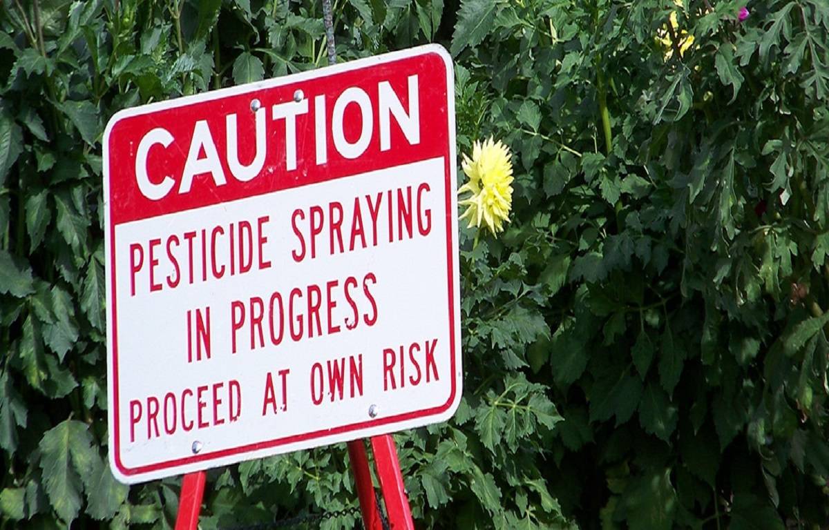 Although pesticides have been used for thousands of years, chemical compounds didn't start to be produced until the 20th century