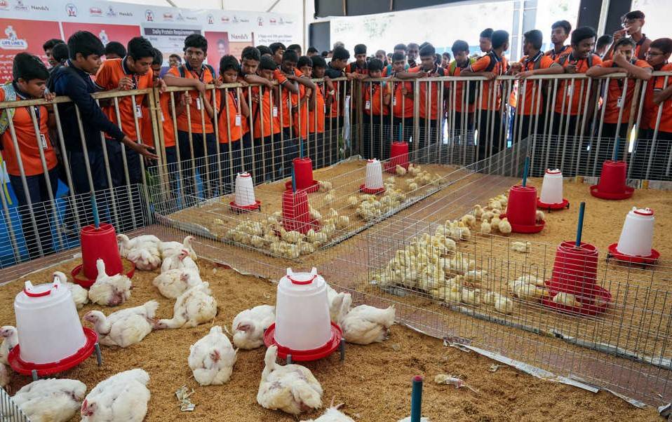 The agriculture production department has approved a "roadmap for poultry development in J&K