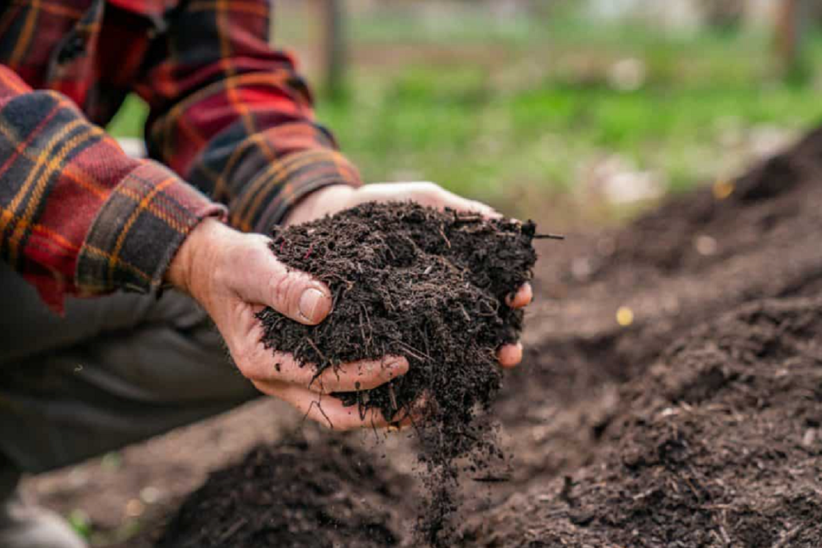 compost