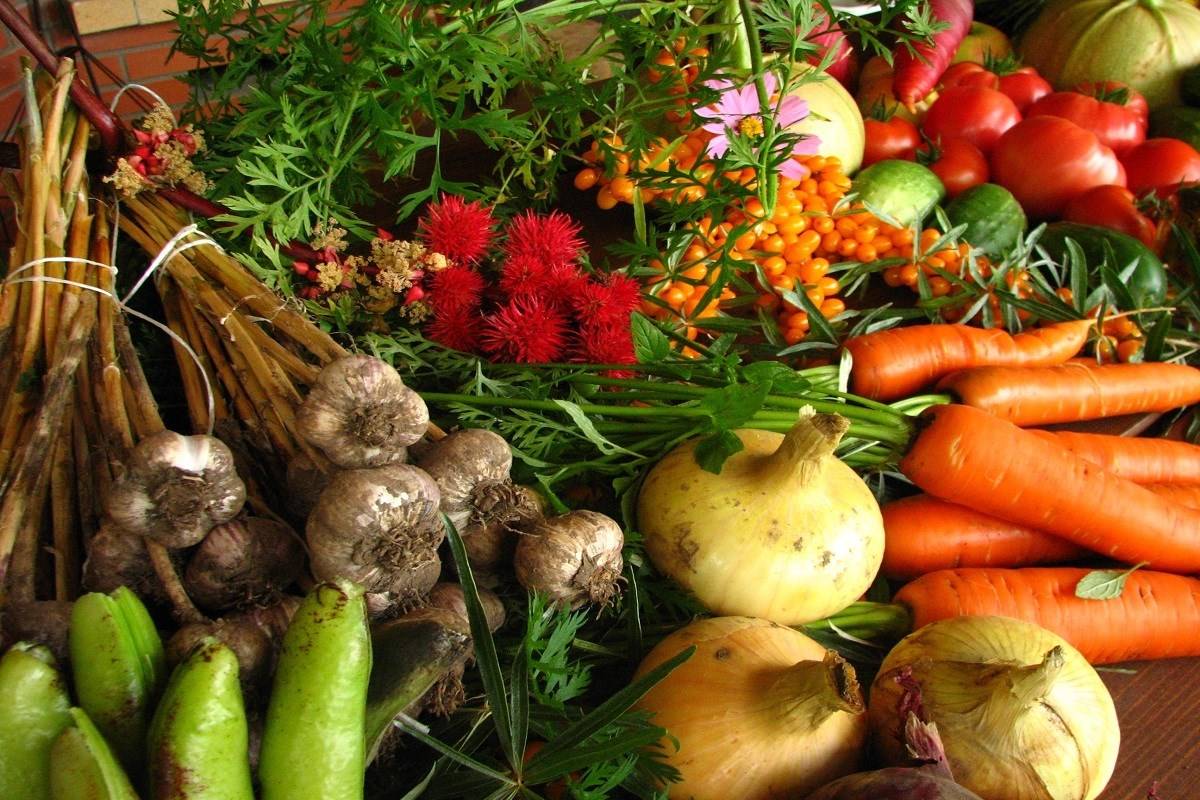 Sikkim started its journey to become completely organic in 2003