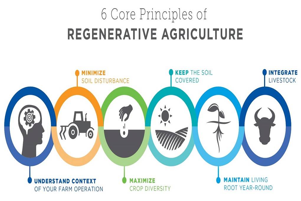 Benefits of Regenerative Agriculture and Ways to Scale It