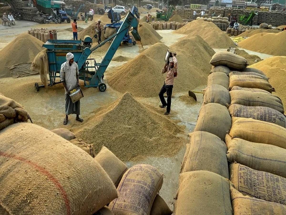 Rushikulya Royat Mahasabha declared irregularity in paddy procurement in Ganjam