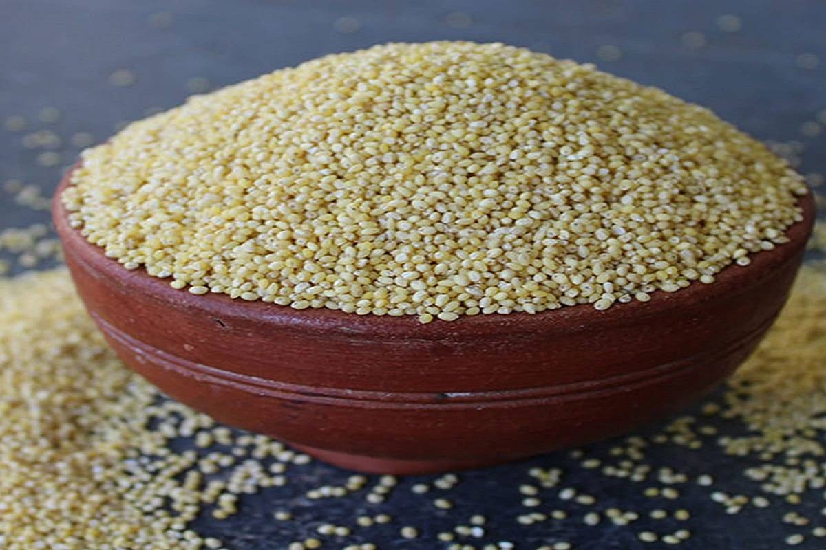 Little millet was domesticated in India's Eastern Ghats and became a significant component of the cuisine of the tribal people there before spreading to Sri Lanka, Nepal, and Myanmar