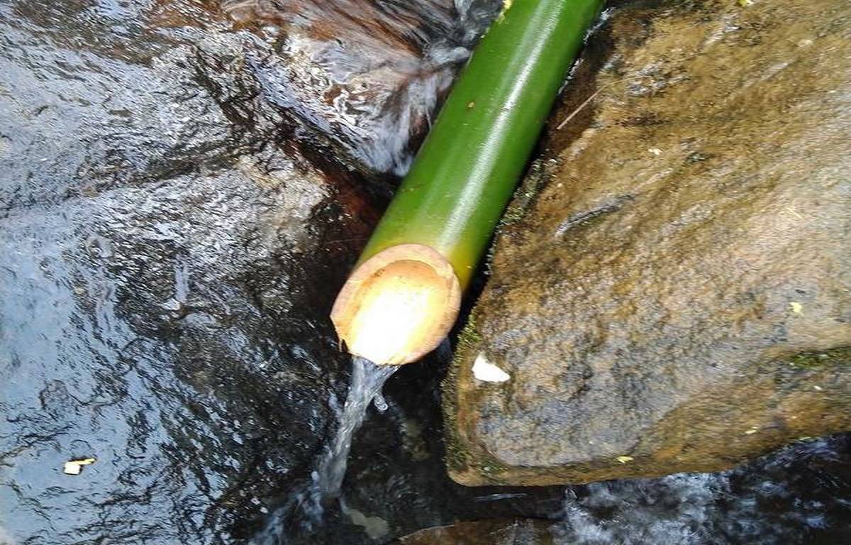 Bamboo Drip Irrigation System
