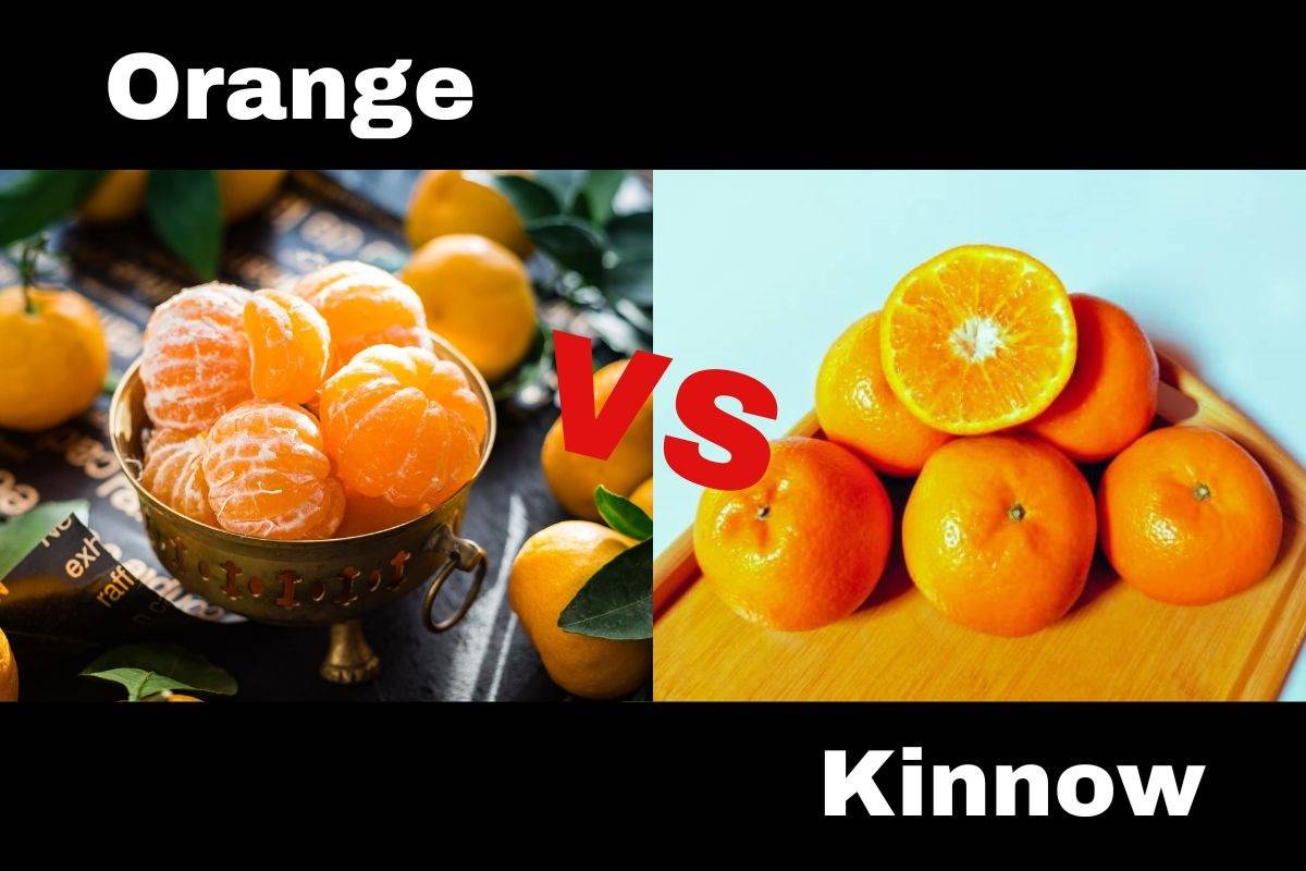 Due to their similar appearance and taste, people often find it difficult to distinguish between orange and kinnow