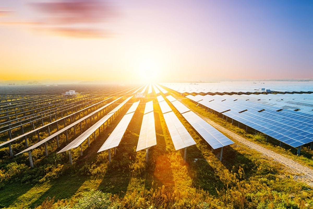 Rooftop solar projects, as well as ground-mounted projects in agricultural fields, will be the growth drivers of the state's green energy demand.