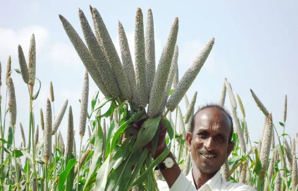 Millets are not only useful as flour or grain but there are several other value-added products that can improve consumption along with the quality of produce