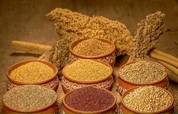 Potential Of Millets for Ensuring Food and Nutritional Securities
