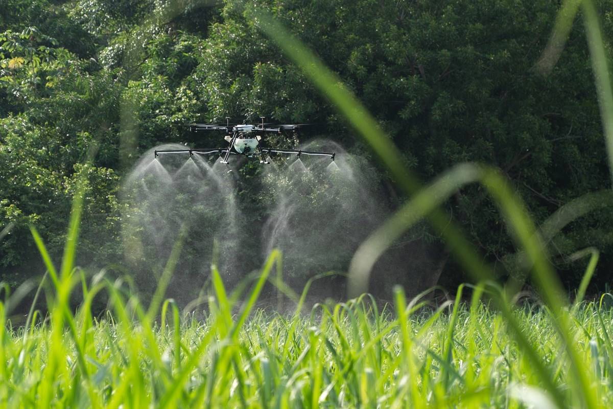 Because of better application and bio-efficiency, drone-based spray uses less water and pesticides.