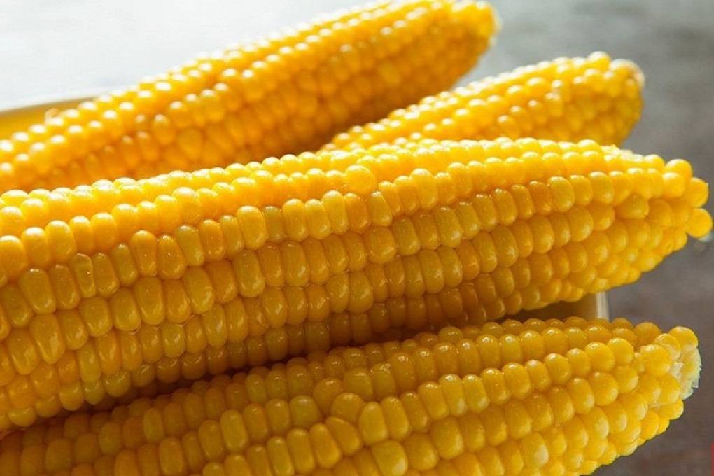 Corns