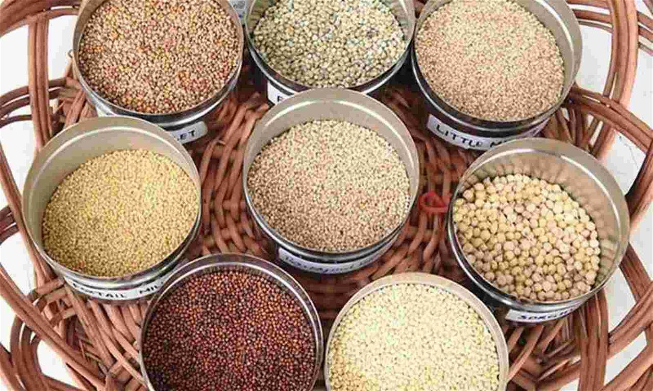 ITC will create integrated millet value chains