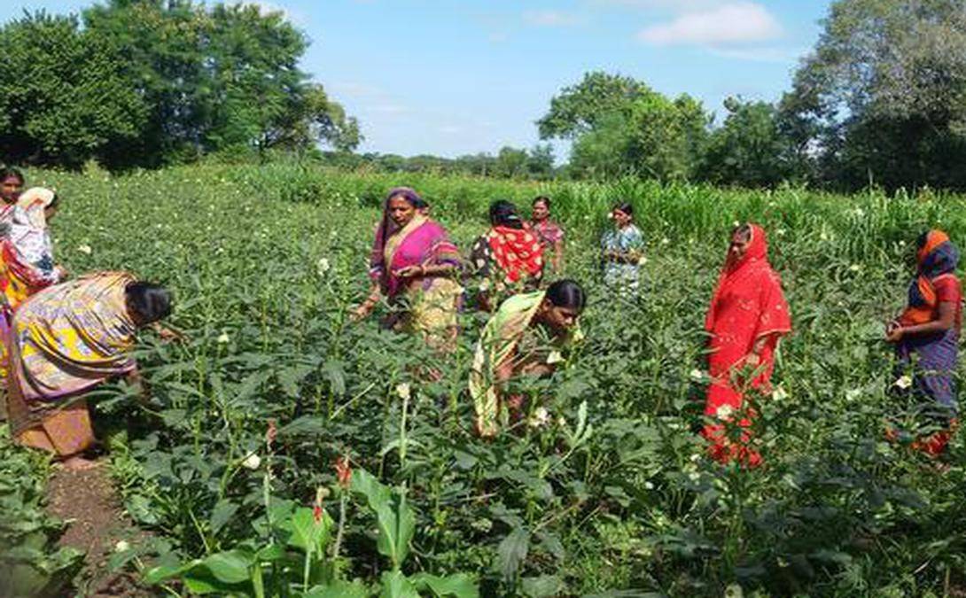 'UDAAN- Flight Out of Poverty’ aimed at enhancing the incomes of 12,000 smallholder farmers by strengthening FPOs