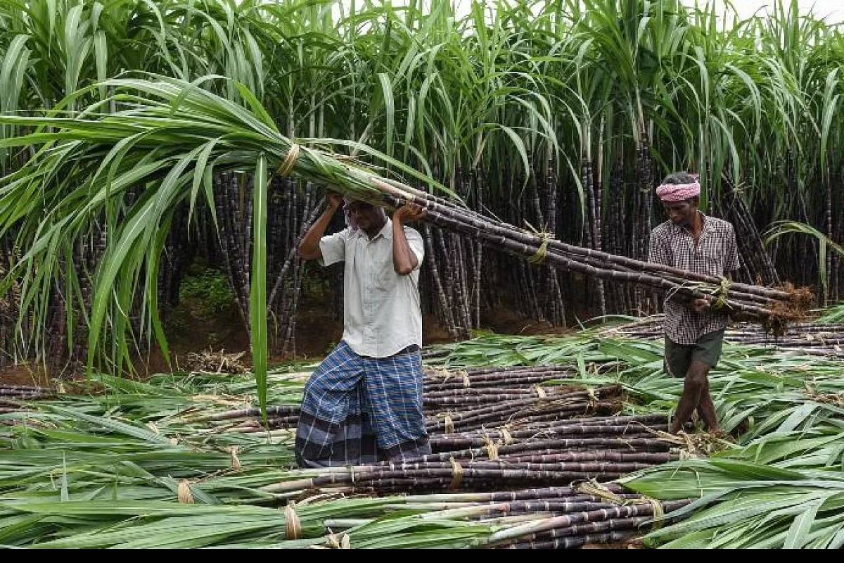 The government has abandoned the farmers by announcing a 10% increase in the state advised price (SAP) of sugarcane