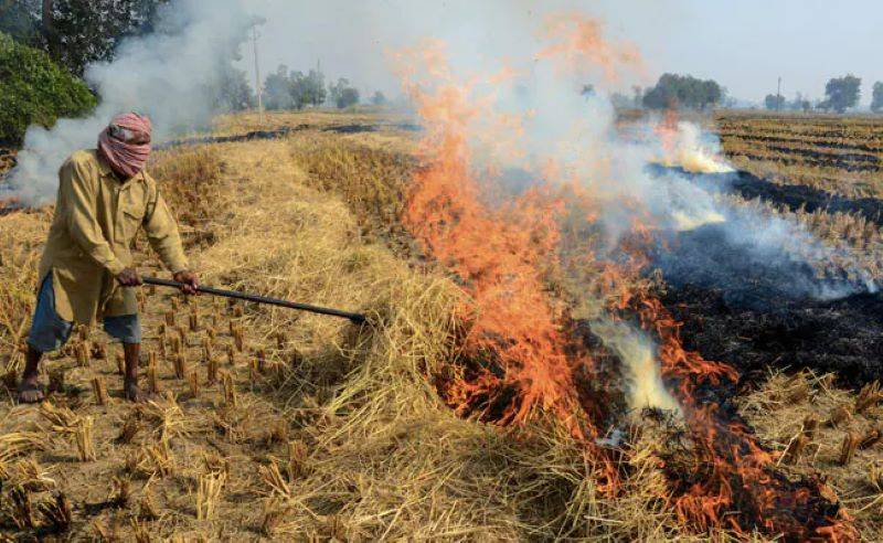 State government has already prohibited stubble burning in fields in order to reduce air pollution