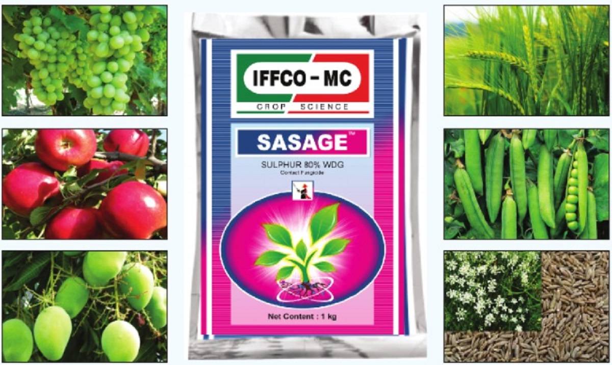 IFFCO-MC’s SASAGE- It is a water-dispersible granule containing 80% sulphur as an active ingredient and balance adjuvants of 20% w/w