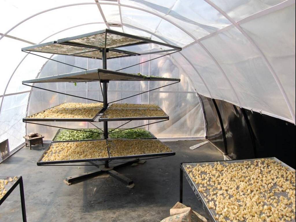 Solar dryers to be installed to in areas of Goa to produced more sun-dried food products